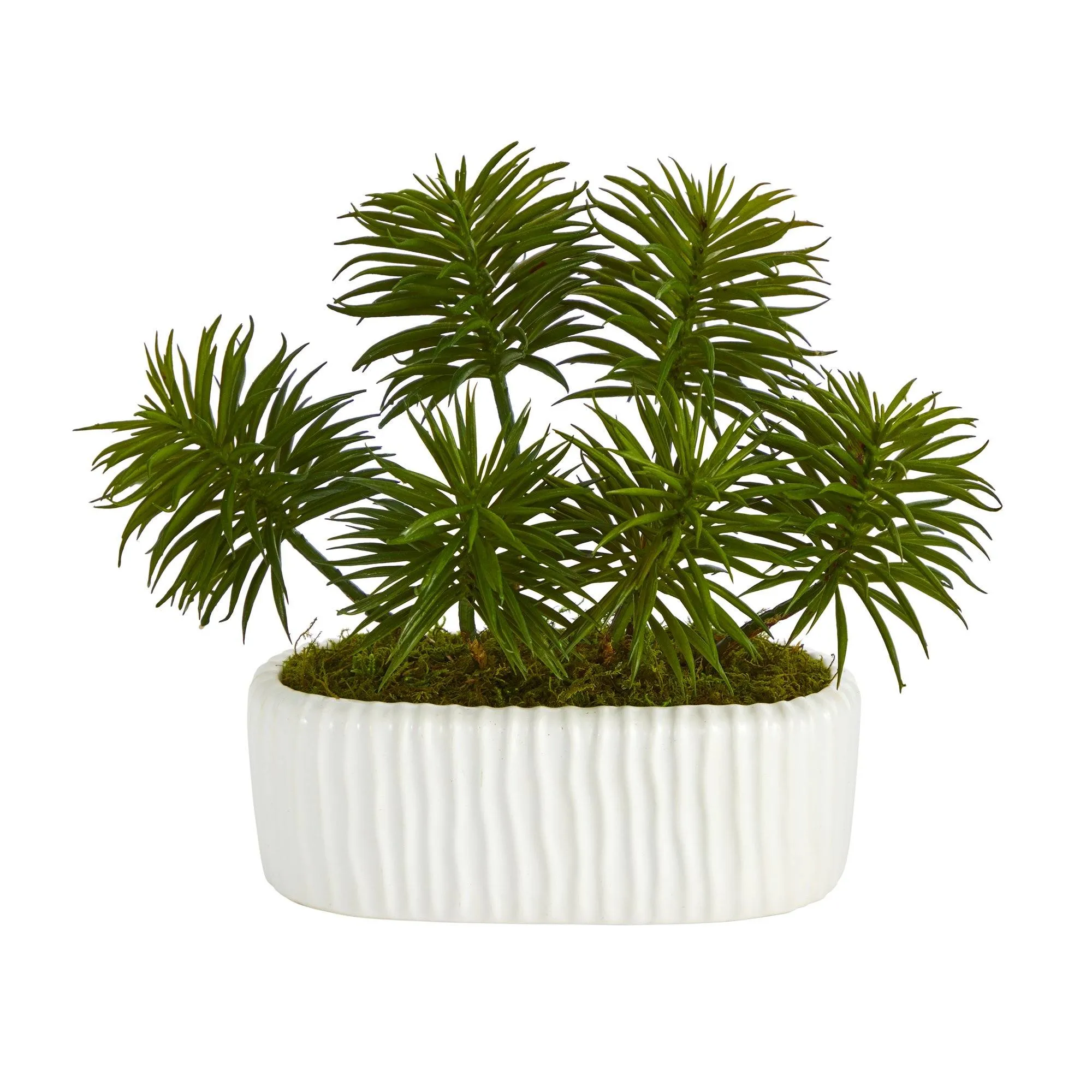 10” Succulent Artificial Plant in White Planter