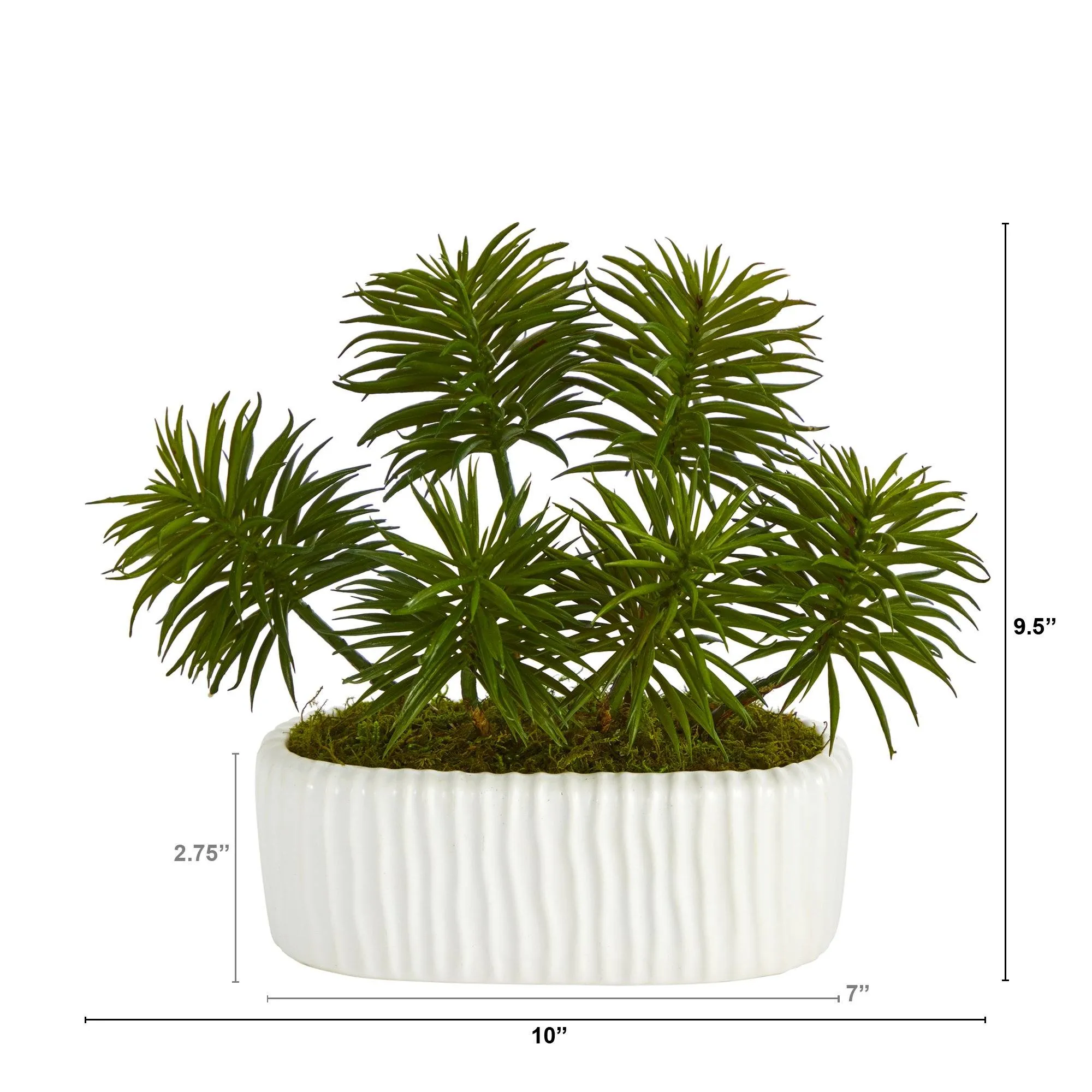 10” Succulent Artificial Plant in White Planter