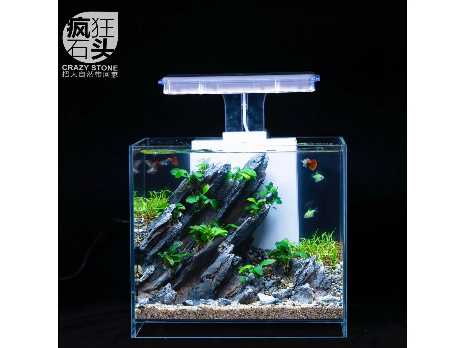 Aquarium landscape package A-4