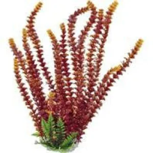 Aquatop Aquatic Supplies - Cabomba Fire Aquarium Plant With Weighted Base