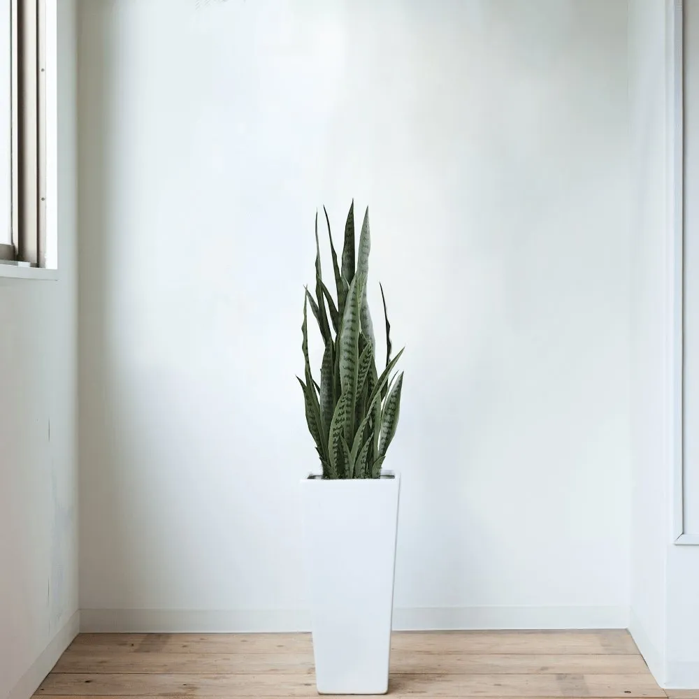 Artificial Snake Plant Sansevieria UV Resistant 90cm