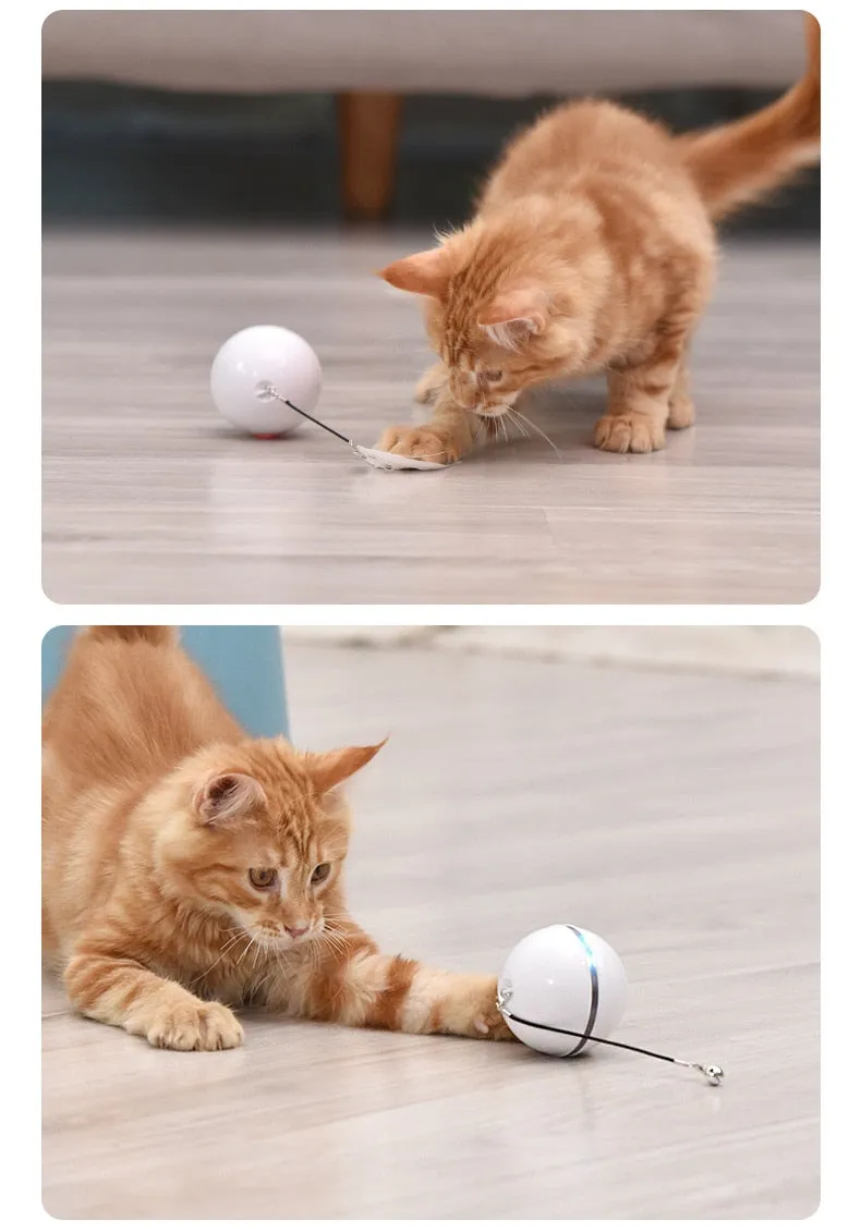 Automatic Rolling Smart Ball w/ Lights (USB Rechargeable) for Cats