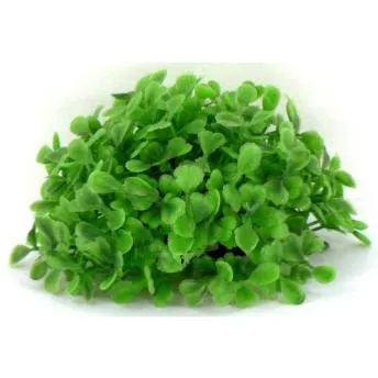 Cheeko Aqua Dreamscapes Aquatic Plant - Dense Half Grass Ball 14cm