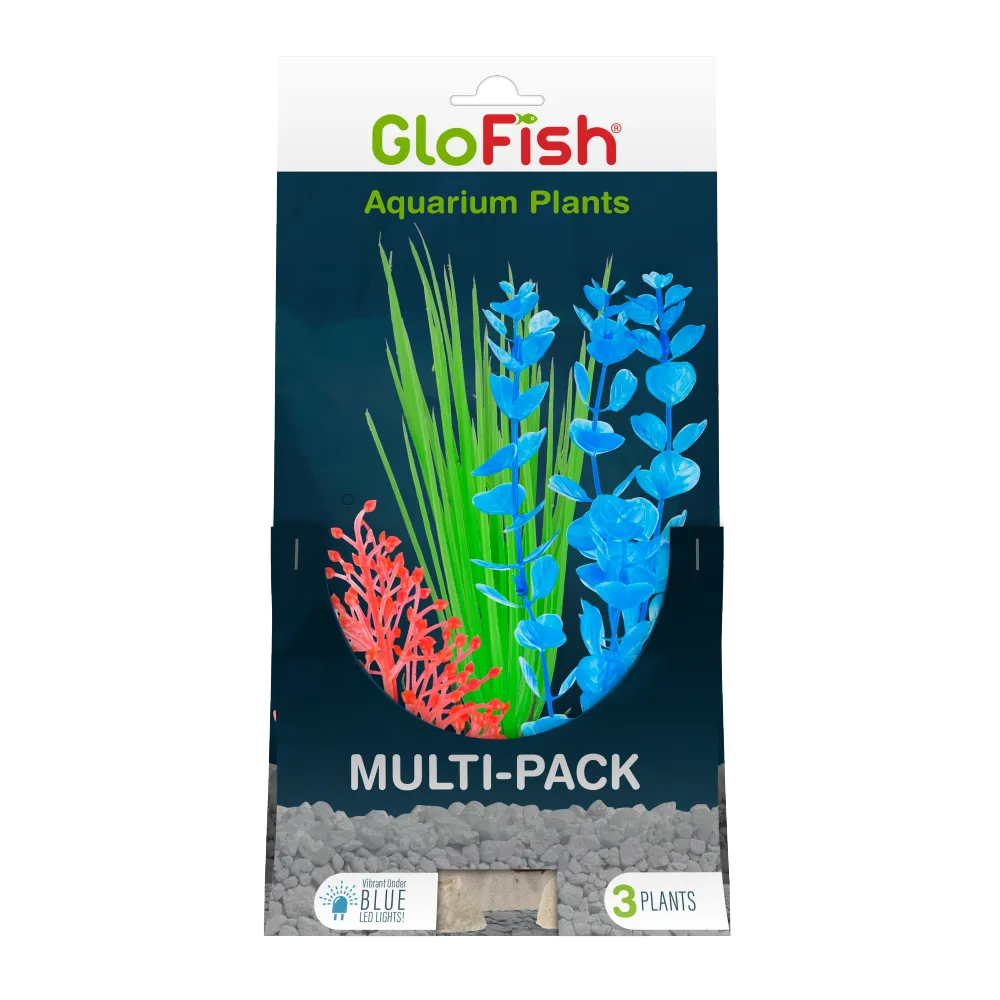 GloFish Multipack Plant 3 count