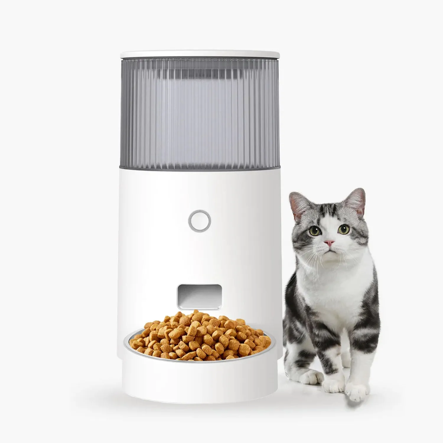 Mini Smart Pet Feeder