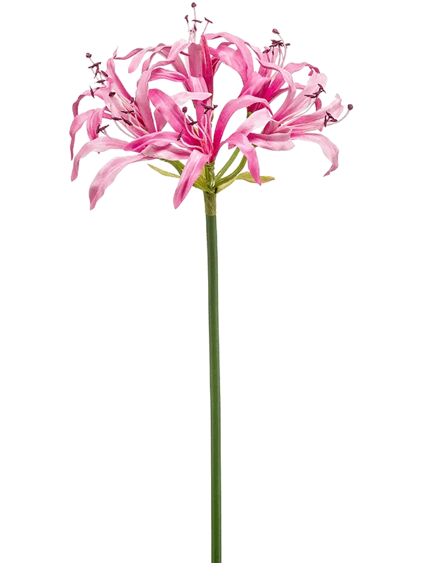 Nerine Artificial Plant Premium Faux 75cm Height