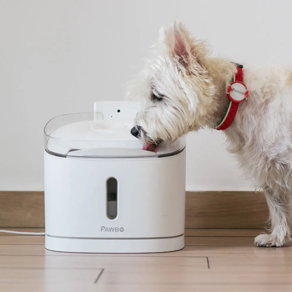 Pawbo Spring Smart Pet Fountain