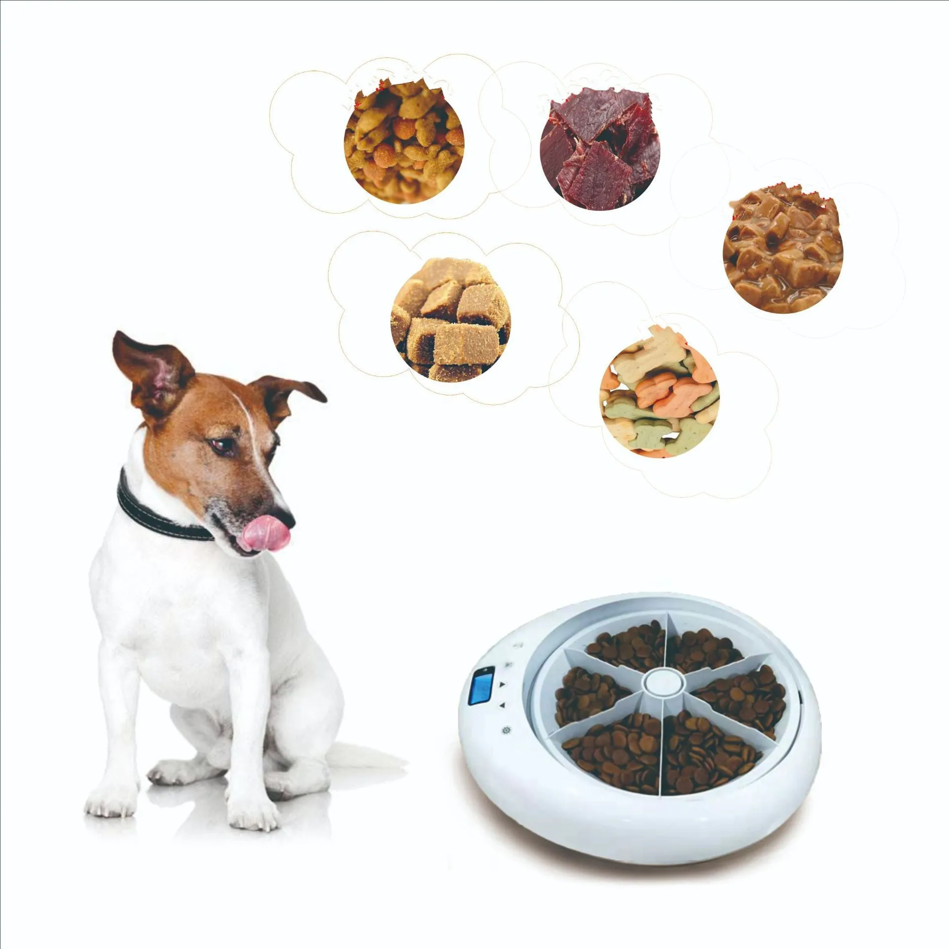 Pet Six-Hole Smart Timing Feeder Dog Timing Quantitative Voice Reminder Cat Automatic Feeder