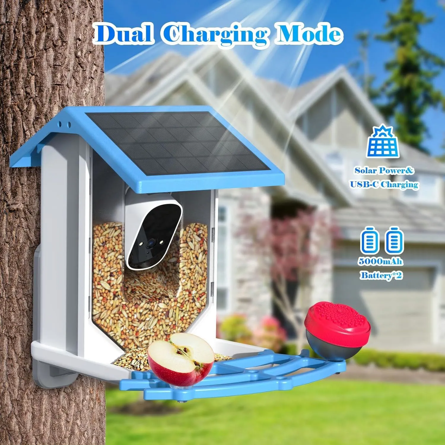 Smart Bird Feeder with Camera,Solar-Powered WiFi 4MP Live Camera,AI Identify Bird Species Auto Capture Backyard Garden Bird Watching&Motion Detection,Ideal Gift for Bird Lovers(Blue)