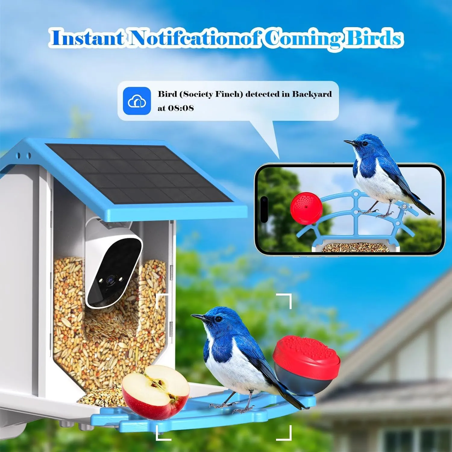 Smart Bird Feeder with Camera,Solar-Powered WiFi 4MP Live Camera,AI Identify Bird Species Auto Capture Backyard Garden Bird Watching&Motion Detection,Ideal Gift for Bird Lovers(Blue)