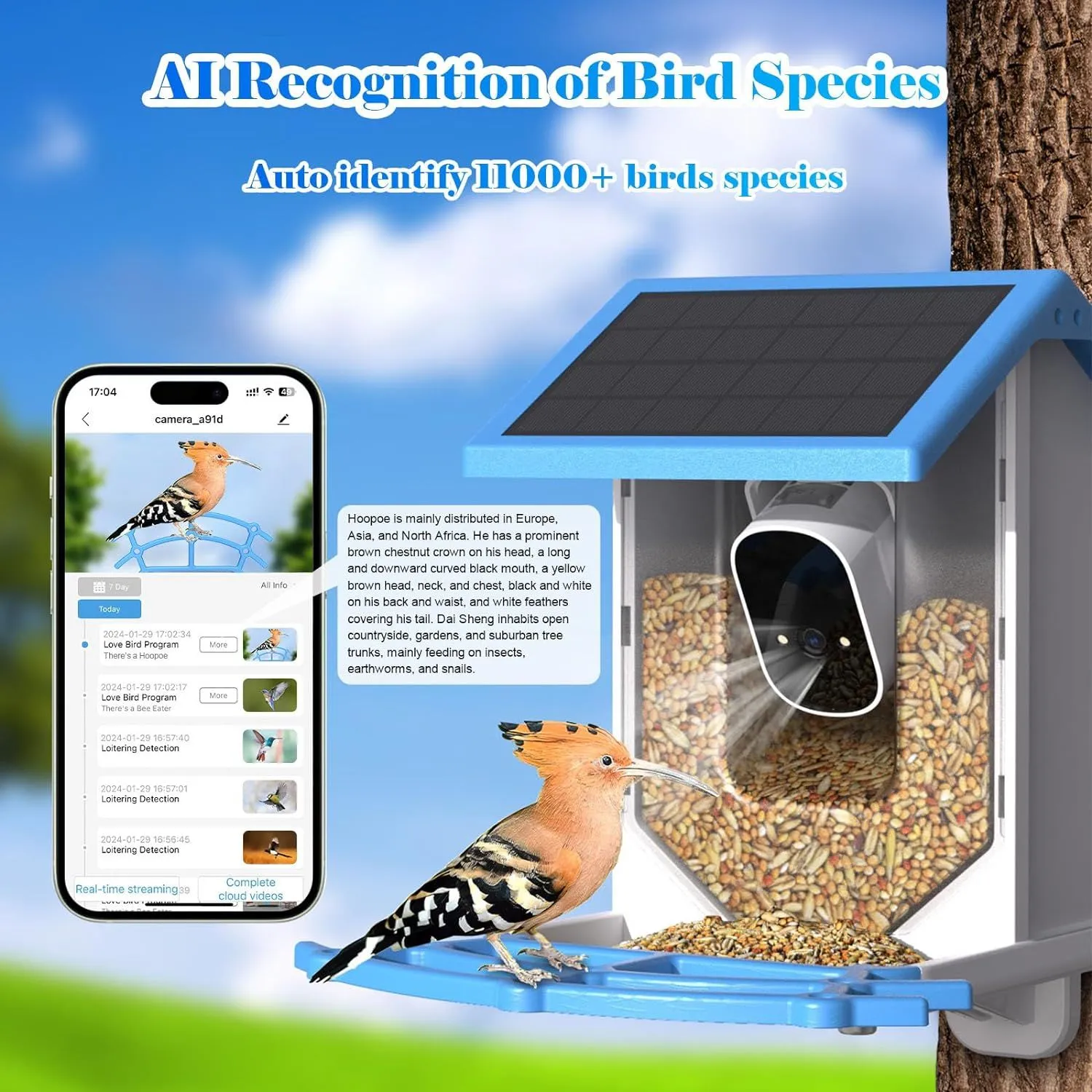 Smart Bird Feeder with Camera,Solar-Powered WiFi 4MP Live Camera,AI Identify Bird Species Auto Capture Backyard Garden Bird Watching&Motion Detection,Ideal Gift for Bird Lovers(Blue)