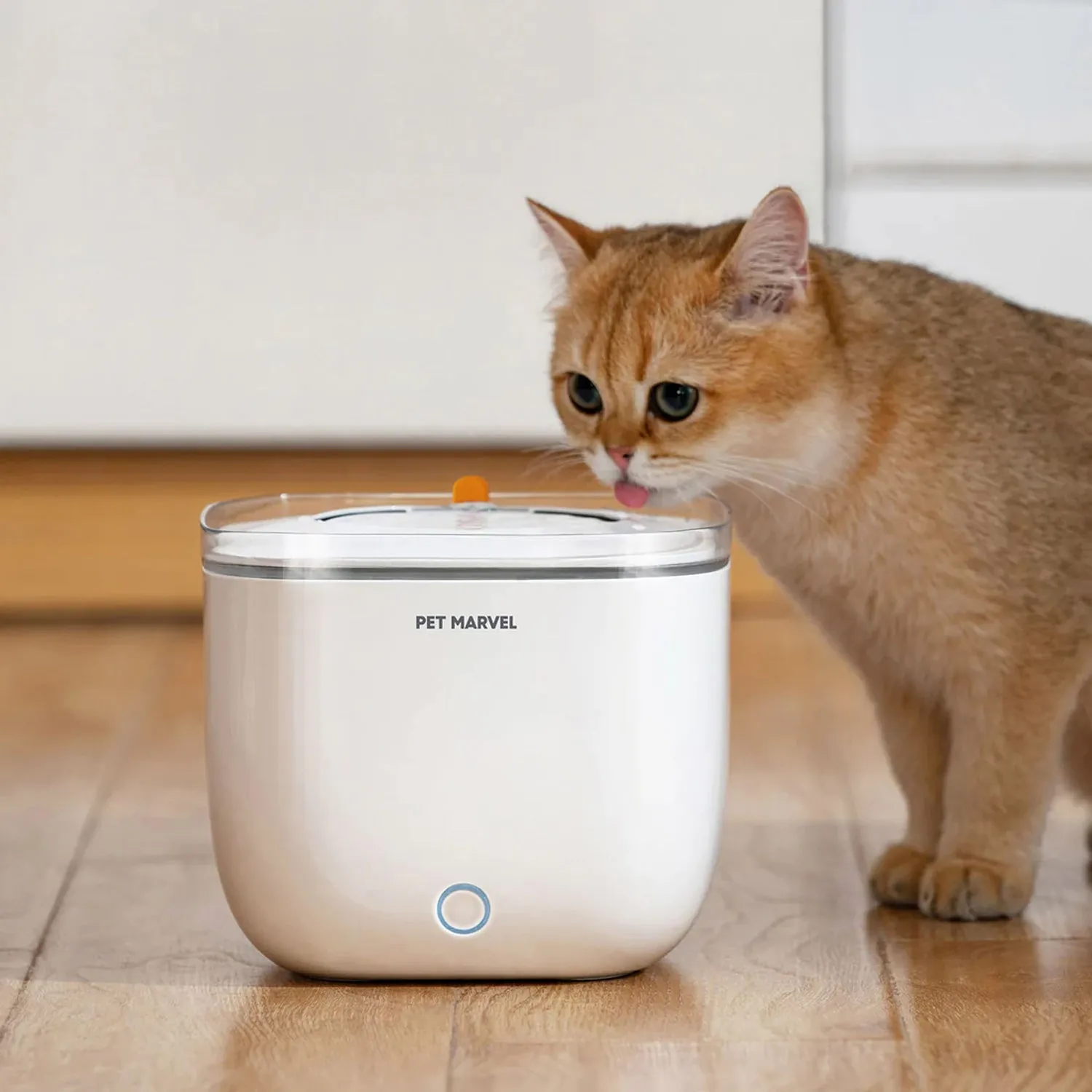 Smart Pet Water Fountain