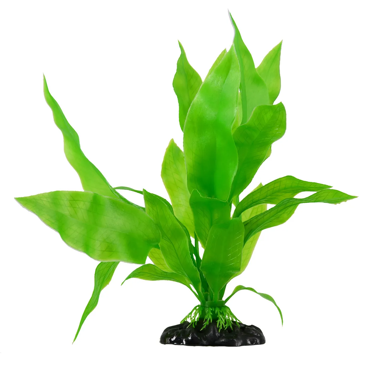 Underwater Treasures Amazon Sword Plant Large