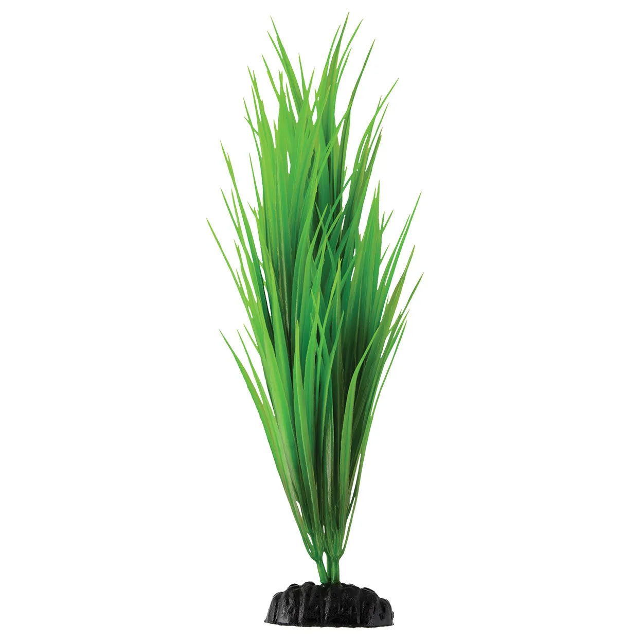 Underwater Treasures Green Nile Grass Plant