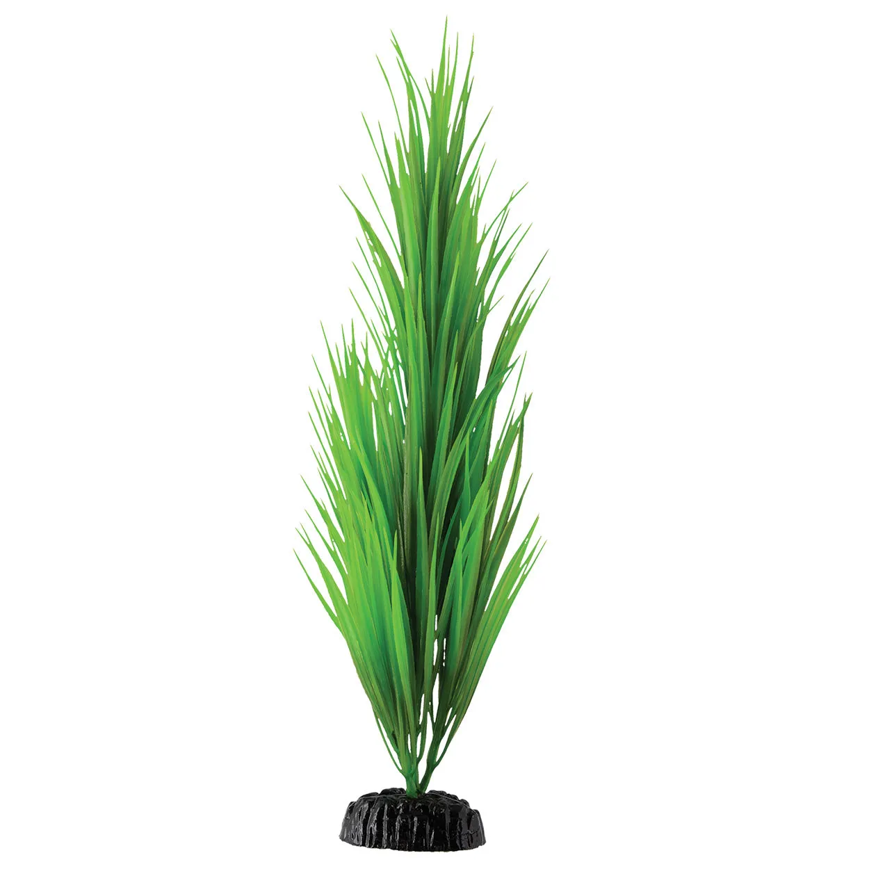 Underwater Treasures Green Nile Grass Plant