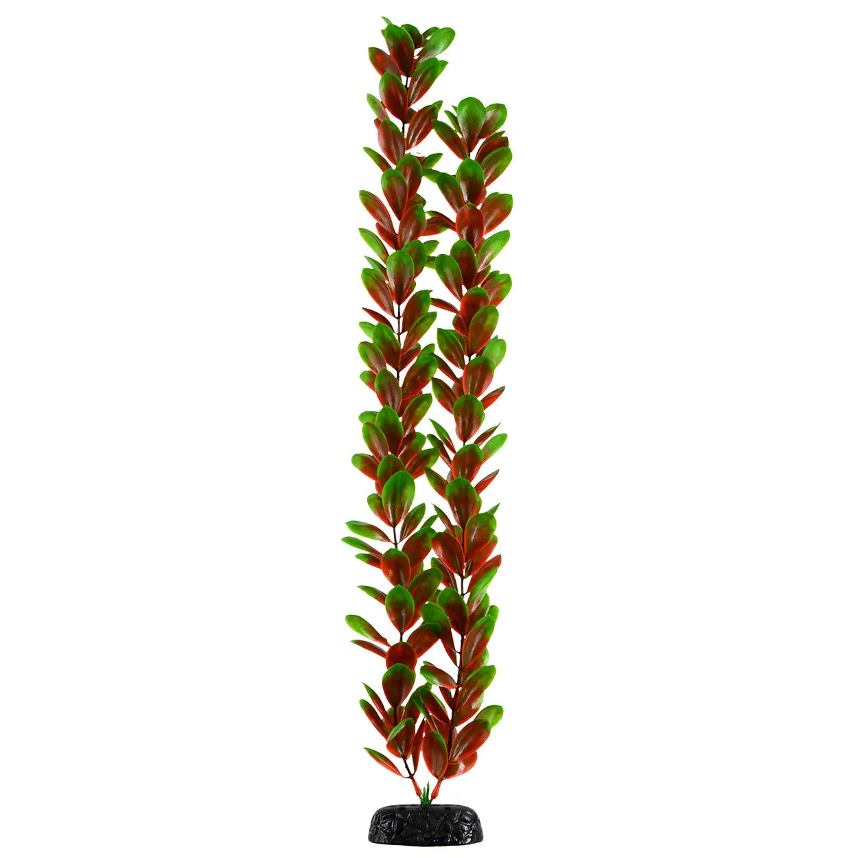 Underwater Treasures Red Green Bacopa Plant