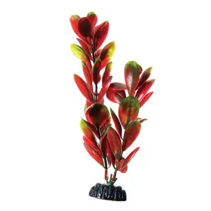 Underwater Treasures Red Green Bacopa Plant