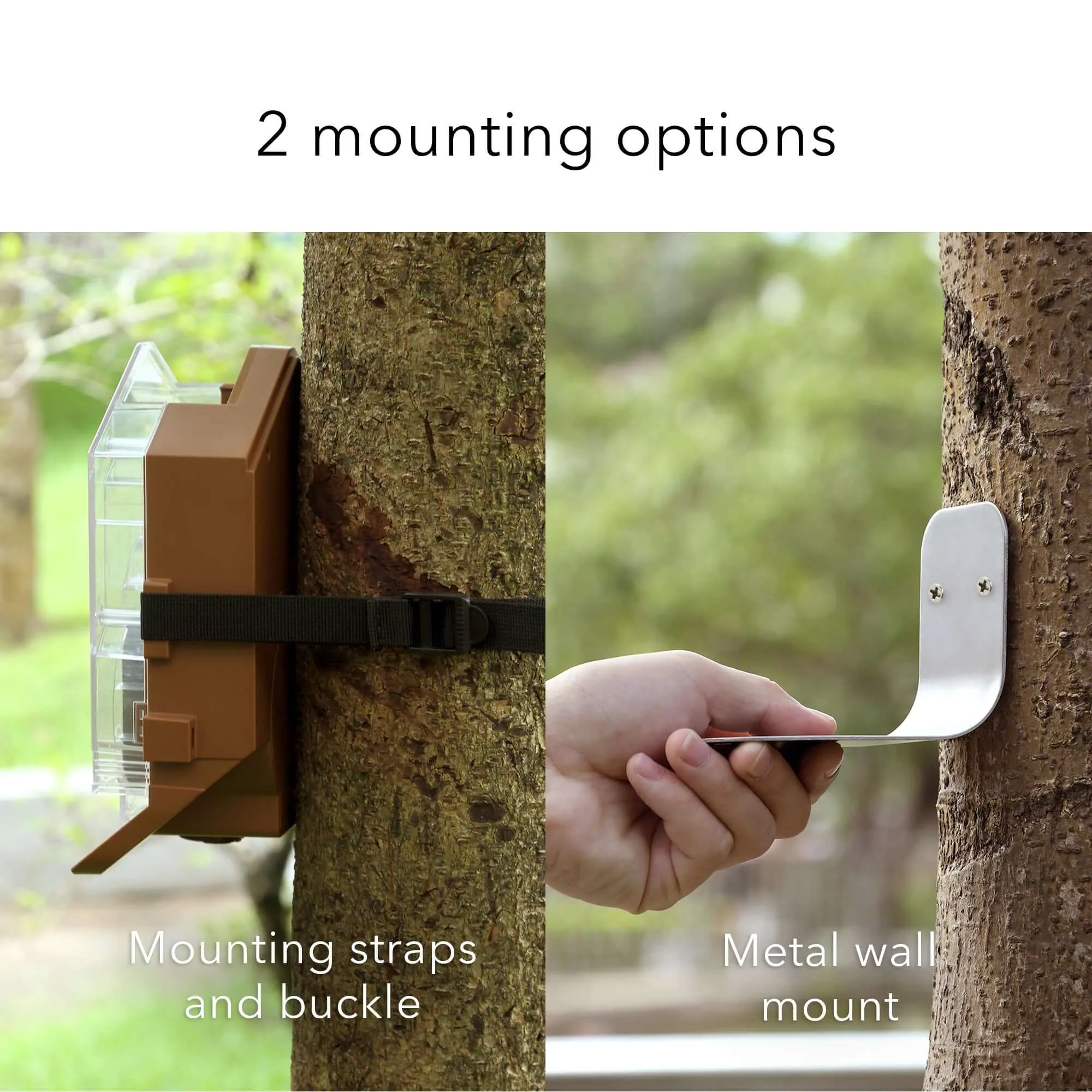 Wasserstein Bird Feeder Camera Case for Ring, Blink & Wyze Cams